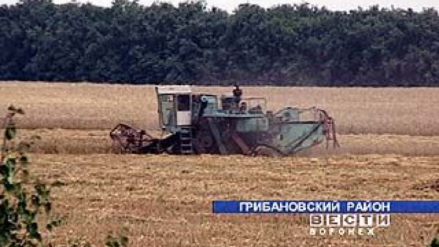 На востоке области началась уборочная