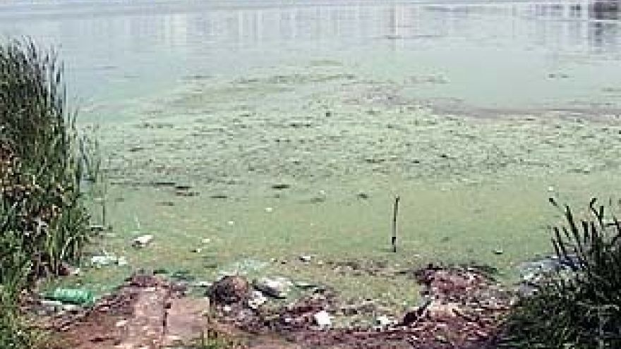 Воронежское водохранилище на грани экологической катастрофы