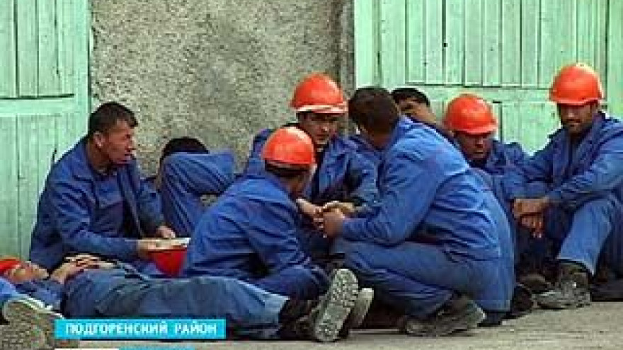 ЛДПР: "Хотите нам направить своих рабочих - ограничивайте рождаемость"