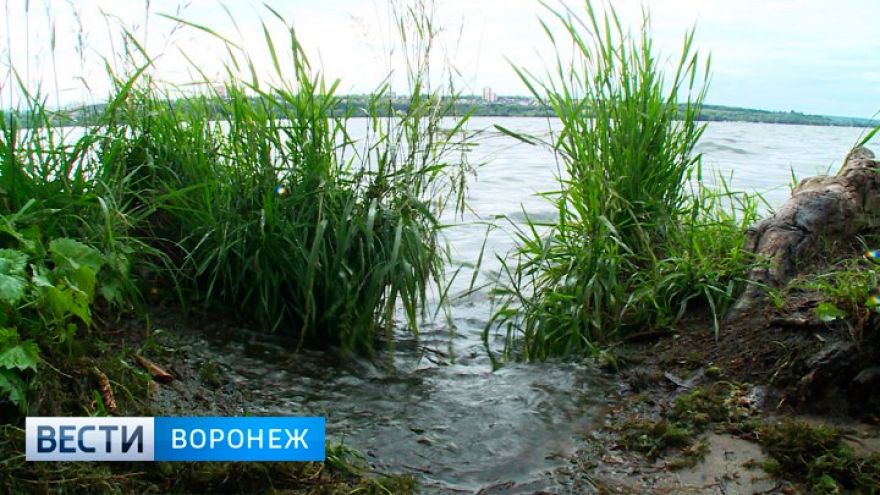 Из Воронежского водохранилища достали мужскую ногу