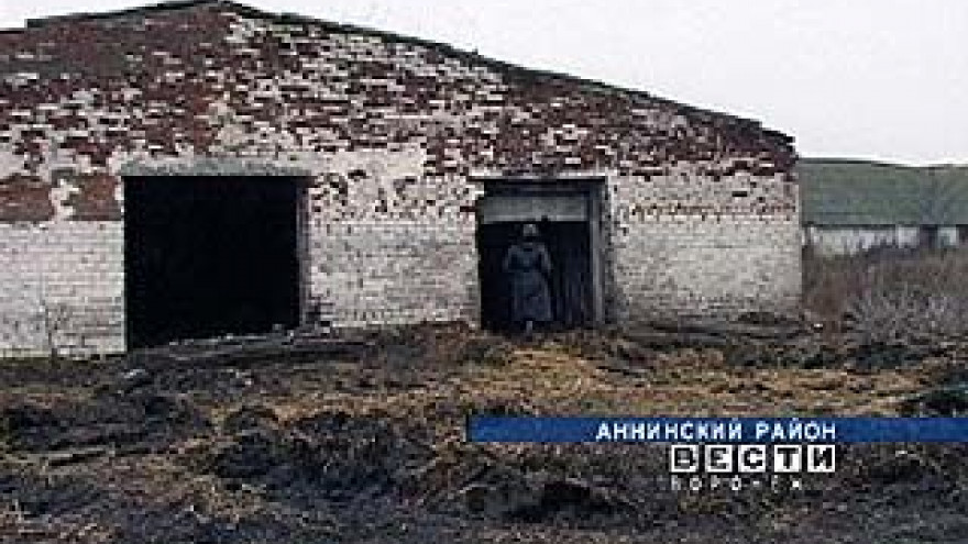 В сельхозартели "Краснологская" полгода не платят зарплату