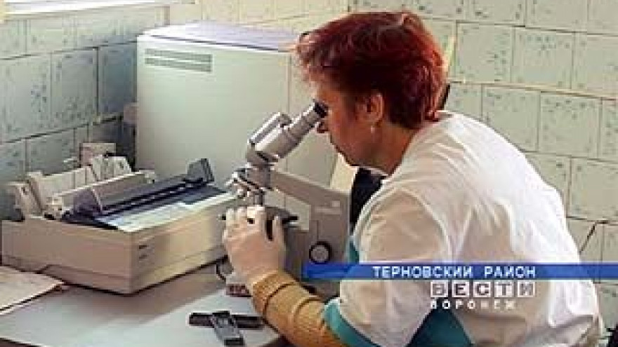 В Терновском районе зафиксирована вспышка трихинеллеза
