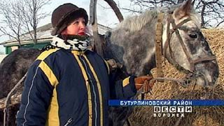 В Бутурлиновском районе почту развозят на лошадях