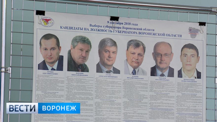 Избирком после ночного подсчёта назвал предварительные итоги выборов губернатора Воронежской области