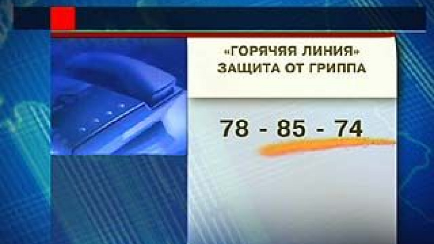 Воронеж вступает в активную фазу эпидемии высокопатогенного гриппа
