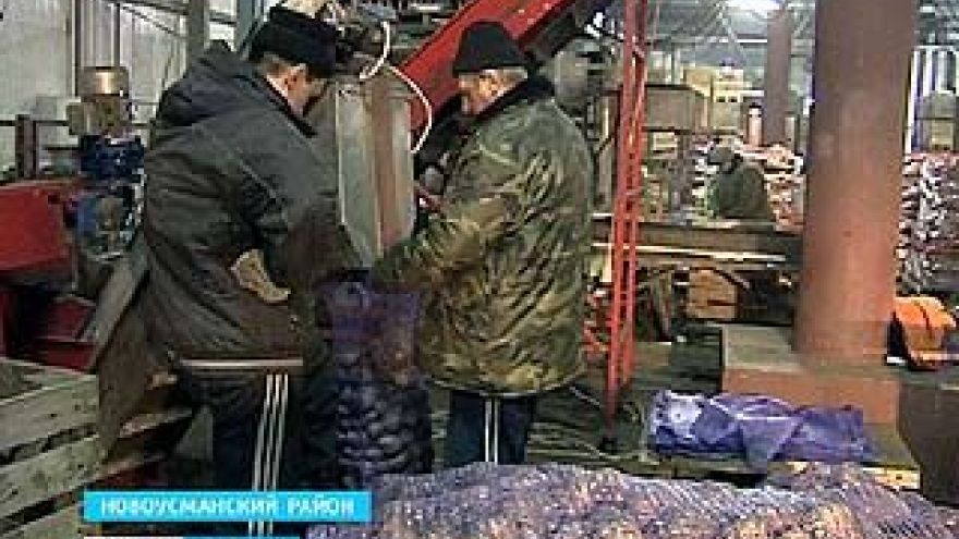 Воронежским сельхозпроизводителям предстоит выдержать конкуренцию иностранной продукции