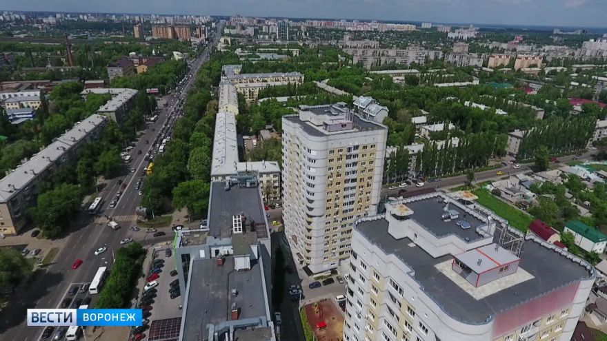 Ромашкин луг и Песчаная гора. Аналитики назвали самые необычные улицы Воронежа