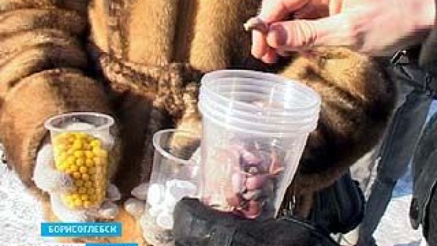 Борисоглебские студенты провели акцию против гриппа