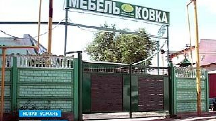 В Новой Усмани школьница убила старика за мобильный телефон