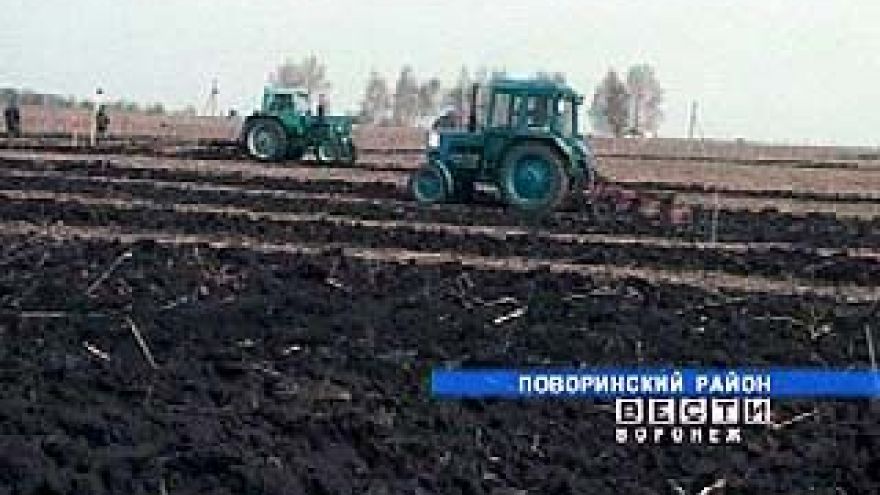 В области сельхозпредприятия начали сев зерновых культур