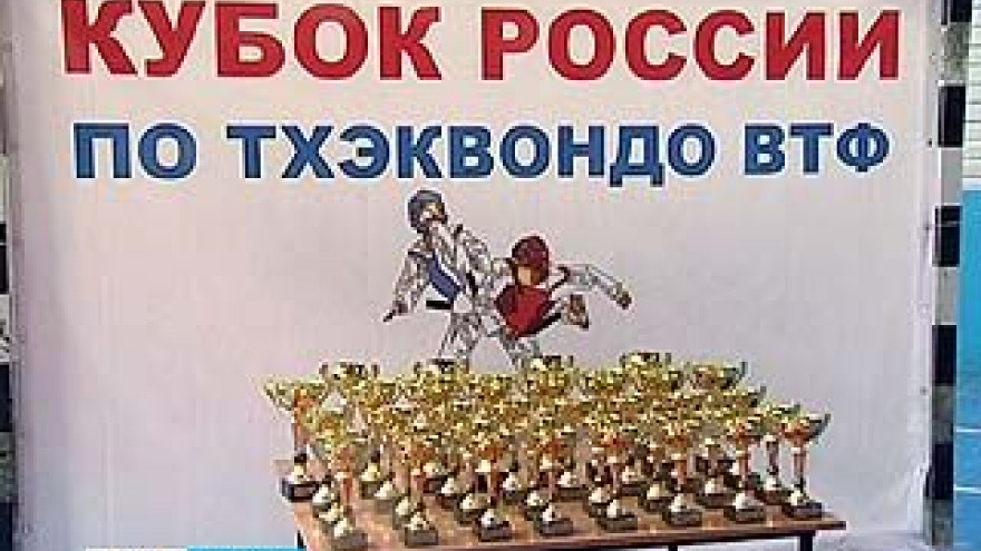 В столице Черноземья прошел Кубок России по тхэквондо
