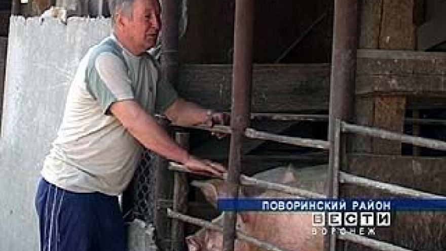 В Поворинском районе живет лучший фермер области