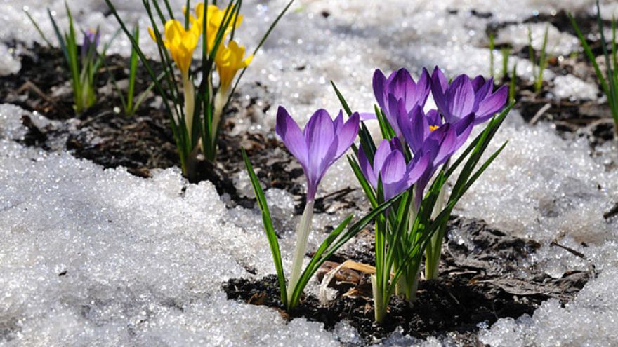 Прогноз погоды на 02.04.18