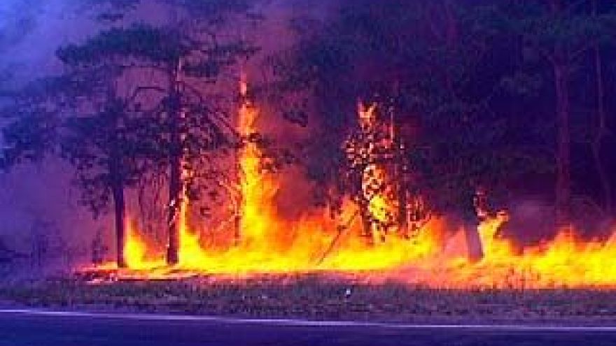 Крупный лесной пожар произошел на окраине Воронежа