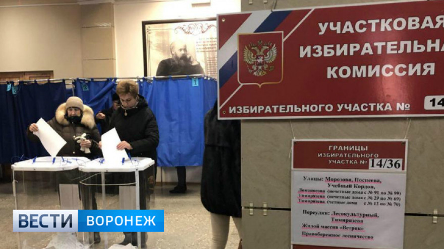 В Воронеже на избирательном участке камера зафиксировала передачу денег членам комиссии