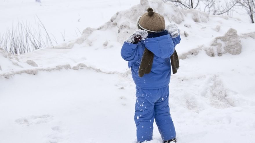 Пропавшего в Воронеже 7-летнего мальчика нашли живым