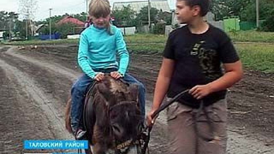 Школьнику из села Нижняя Каменка на День Рождения подарили ослика