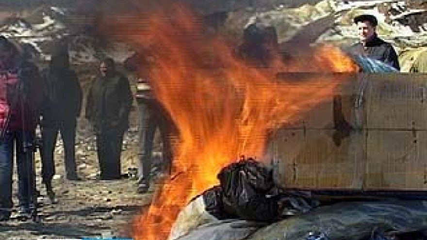 В Воронеже уничтожили более 300 килограммов наркотических веществ