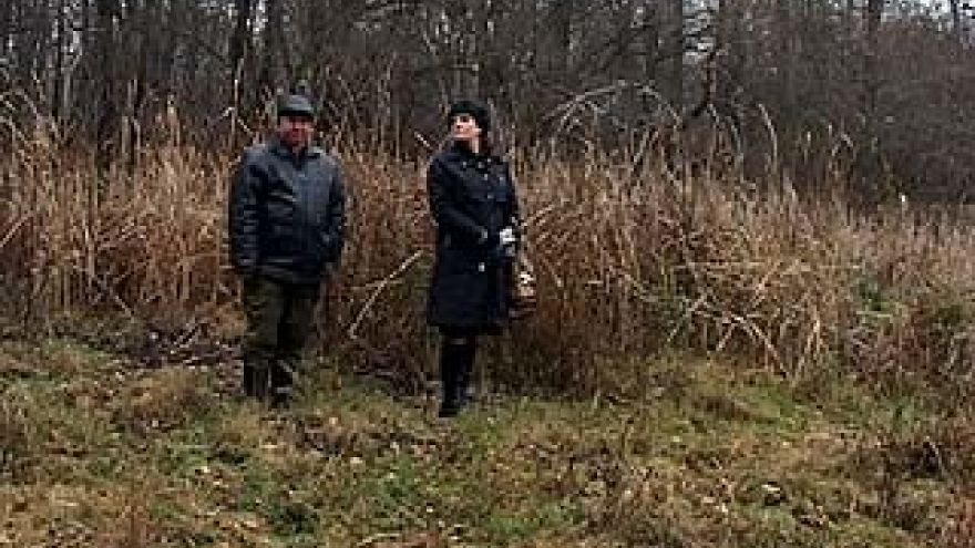 Житель Борисоглебска обнаружил в лесу аномальную зону
