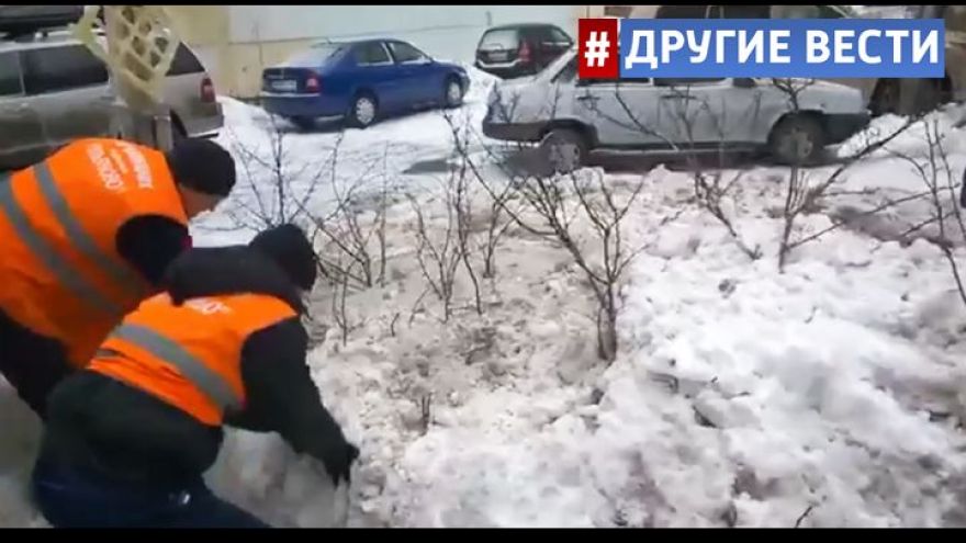 Столичные дворники маскировали сугробы под кустарник, чтобы не убирать снег