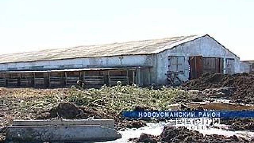 В Новоусманском районе предметом спора стали 2 коровника