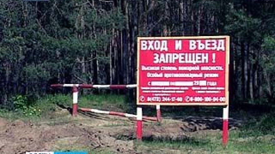 В Воронеже и Борисоглебске объявлен самый высокий - 5 класс горимости