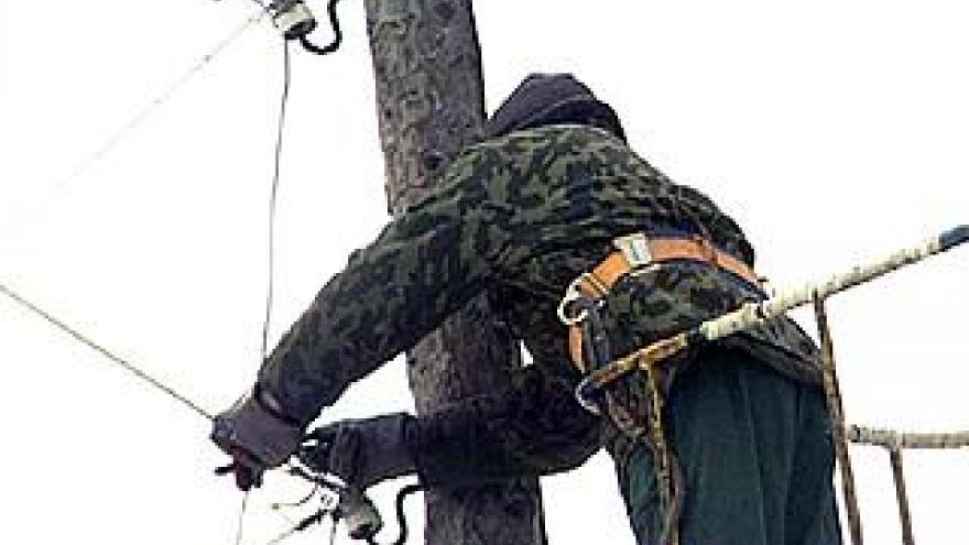 Энергетики Воронежа работают без сна и отдыха