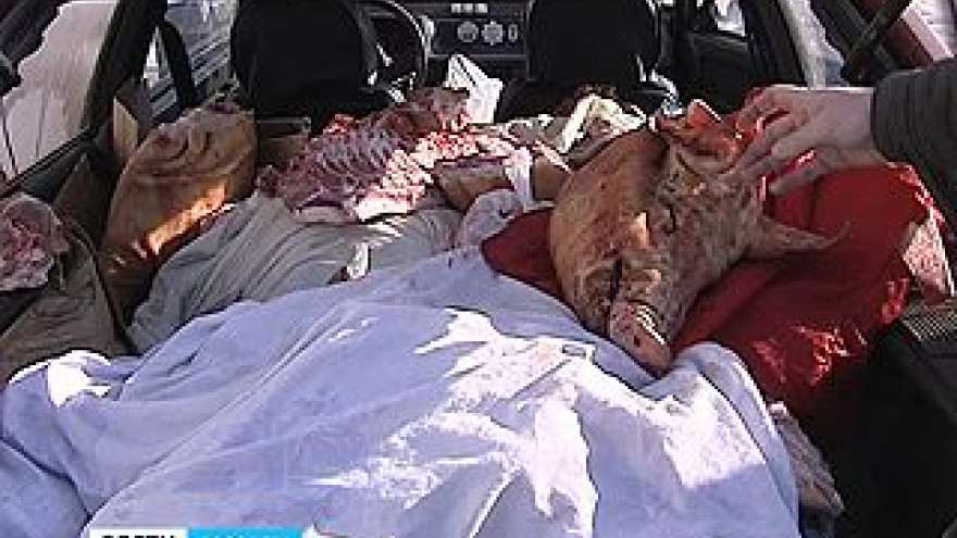 Что продают воронежцам в передвижных мясных лавках?