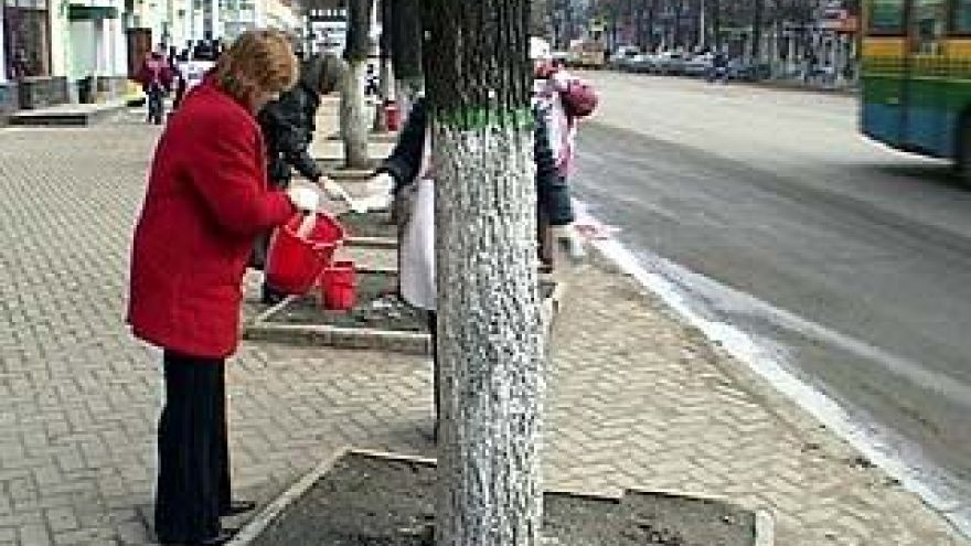 В Воронеже прошла акция "Чистый город"