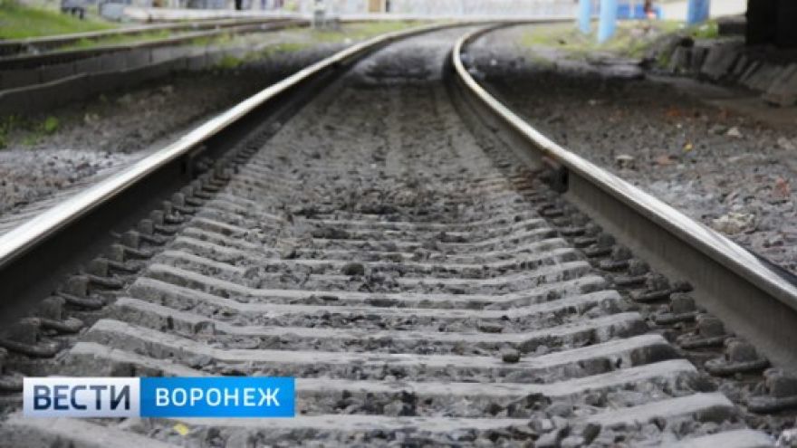 В Воронеже узбека осудили на 9 лет за изнасилование девушки, гулявшей с собакой