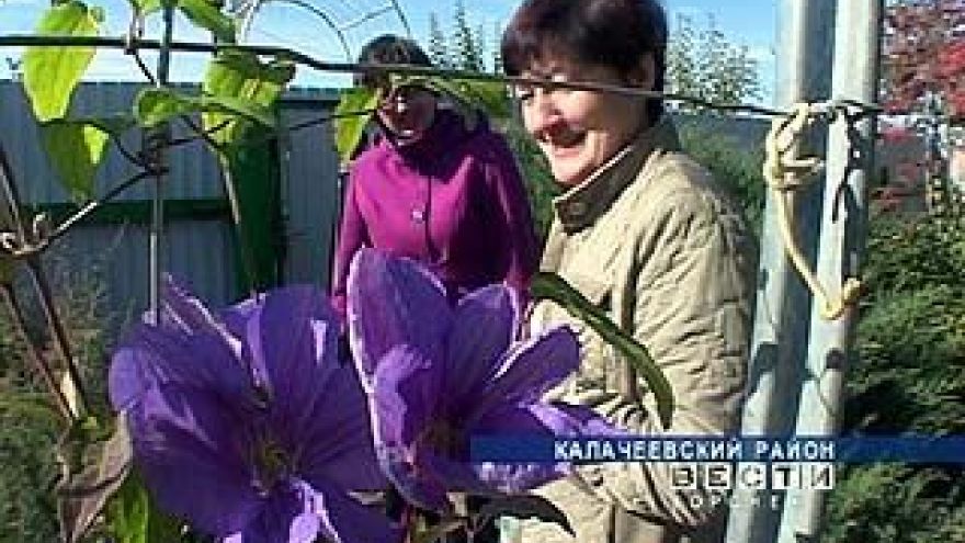 Семья Верещак 25 лет создавала дендрарий в собственном саду