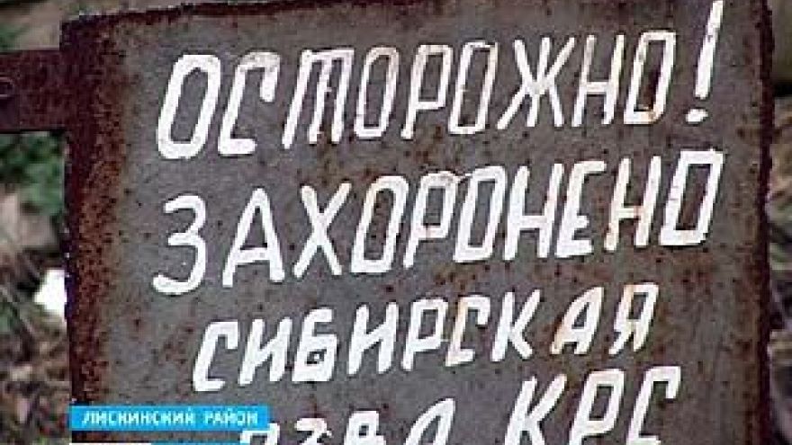Жителям села Аношкино Лискинского района жизнь отравляет скотомогильник