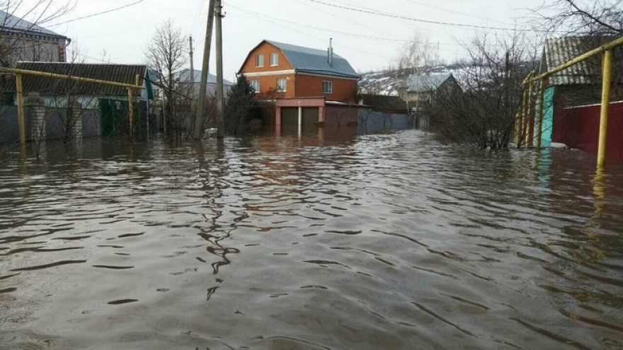 В Воронежской области создадут карту зон затопления для запрета строительства