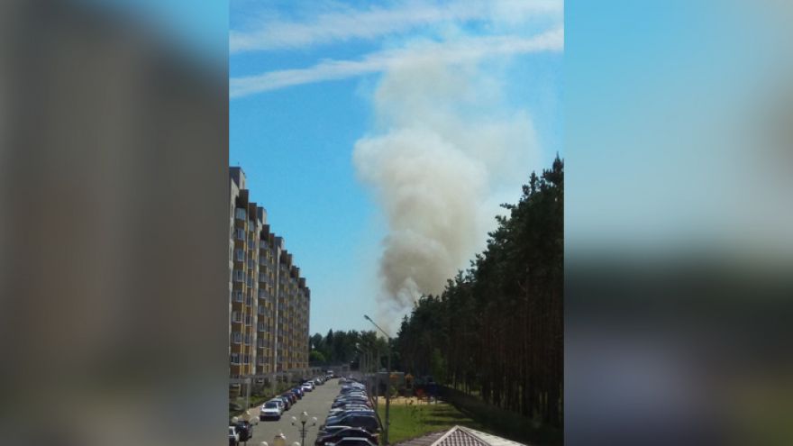 Воронежцы сообщили о крупном пожаре у пляжа в Боровом