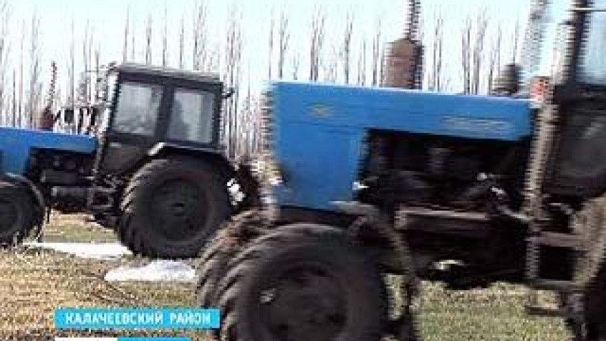 Аграрии Воронежской области готовят озимые к предстоящей уборке