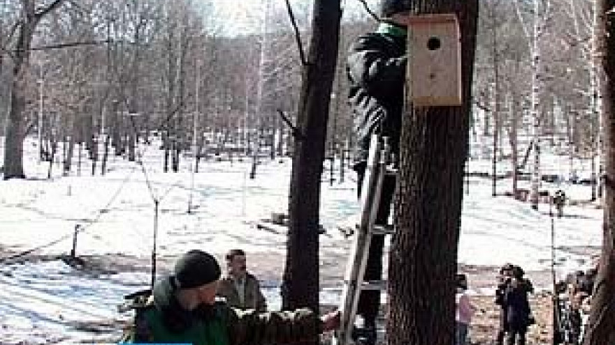 В парке "Динамо" установили около 60 скворечников