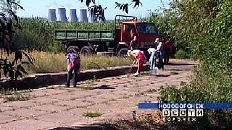 Нововоронежские атомщики провели субботник