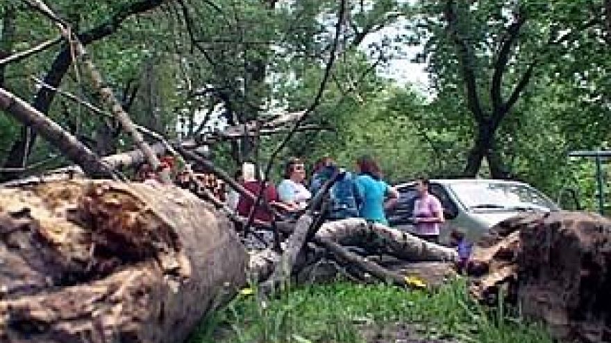 Во время урагана в Воронеже пострадали два ребенка
