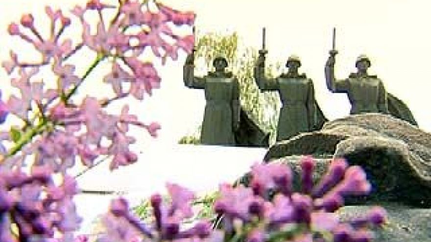 Ко Дню Победы в Воронеже приведут в порядок все братские могилы