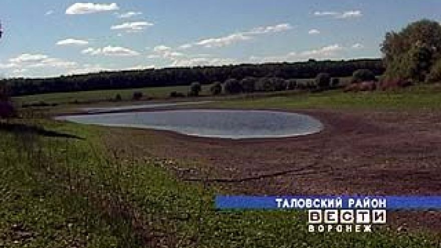 Институту имени Докучаева грозит засуха