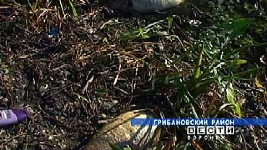 В Грибановском районе зафиксирована массовая гибель рыбы