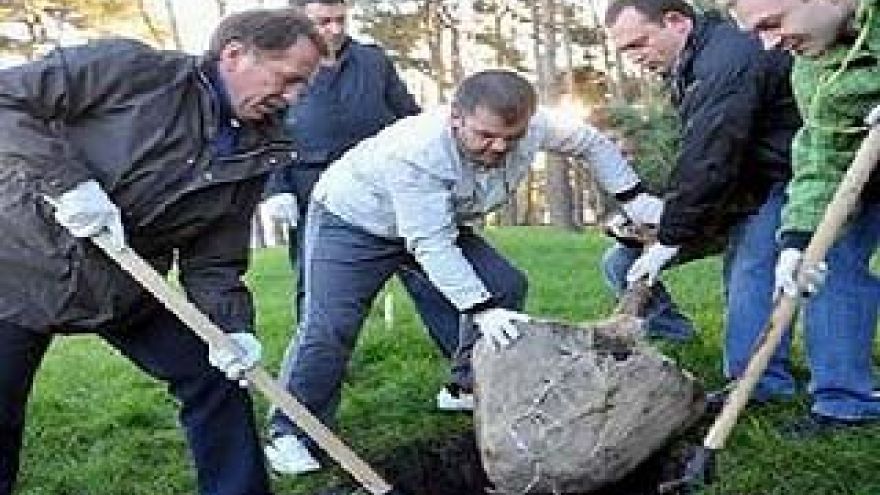 В парке "Алые паруса" появилось более 100 новых деревьев