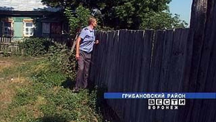 Жительница села Нижний Карачан выращивала в огороде коноплю