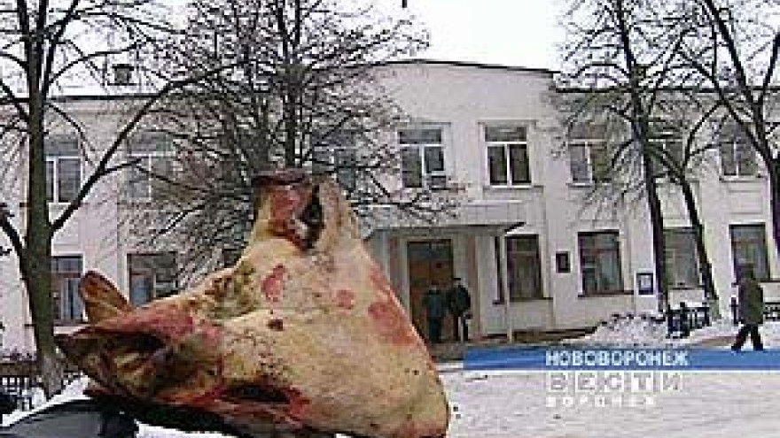 Стихийная акция протеста вместо обычного рабочего дня в Нововоронеже