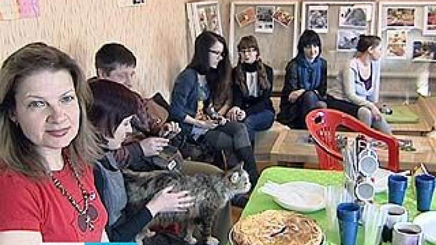 В Воронеже снова открылось неко, или в переводе кото-кафе