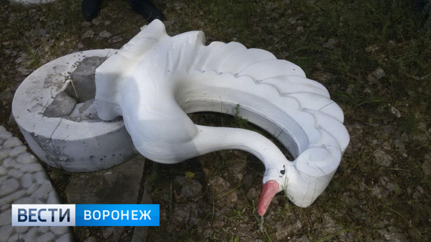Шок и недоумение. В Воронеже неизвестные разгромили более 20 двухметровых скульптур