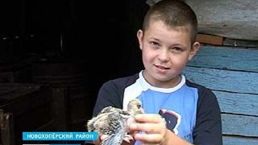 Самый юный голубятник области живёт в селе Елань-Колено