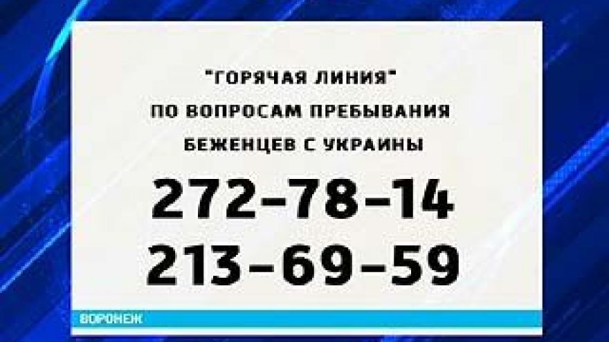 Воронежская область может рассчитывать на субсидии для размещения беженцев