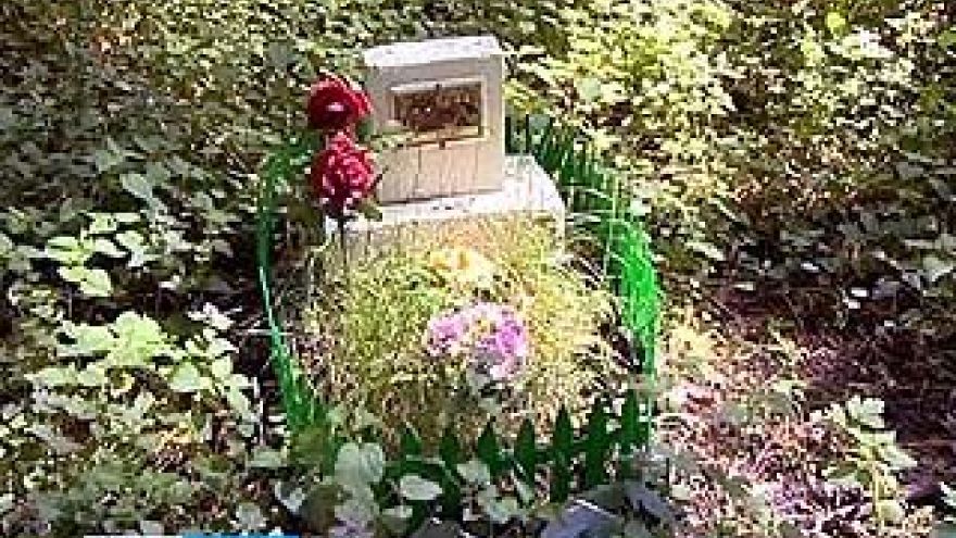 Под Павловском обнаружено кладбище собак