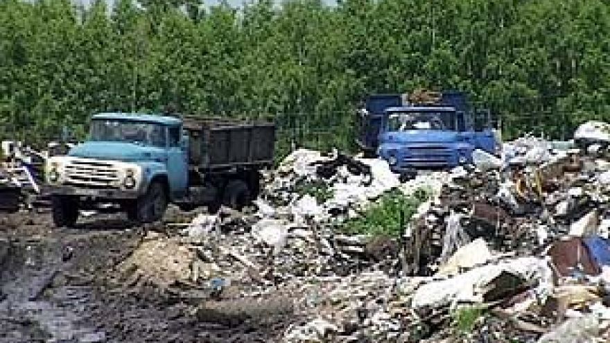 Воронежские экологи бьют тревогу